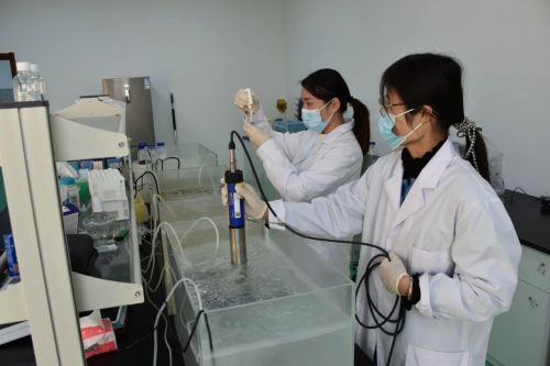 海璟水產榮獲全國水產綠色健康“五大行動”基地稱號，科技賦能引領行業變革