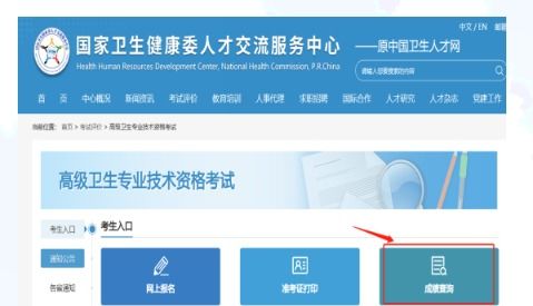2023年河北衛(wèi)生系列高級專業(yè)技術資格實踐技能考試成績查詢通知——兼論信息技術咨詢服務與衛(wèi)生人才發(fā)展的協(xié)同效應